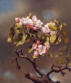 馬丁 約翰遜 赫德 Branch of Apple Blossoms against a Cloudy Sky